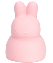 Load image into Gallery viewer, Silicone Bunny Money Box