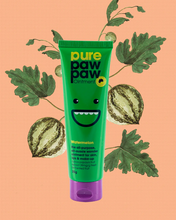 Load image into Gallery viewer, Pure Paw Paw 25g Ointment- Various Flavours Available
