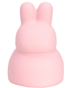 Silicone Bunny Money Box