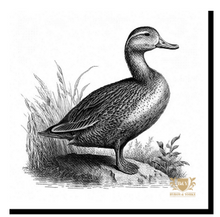 Load image into Gallery viewer, Byron and Yorke Napkins- Assorted Designs Available
