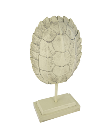 Turvey Turtle Shell On Stand