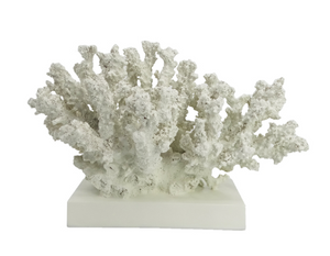 Kapri Coral