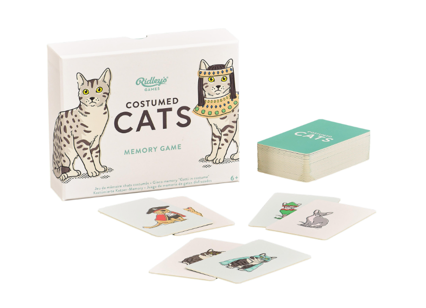Costumed cat Memory Game