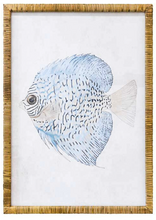 Load image into Gallery viewer, Framed Fish Print: 2 Styles Available
