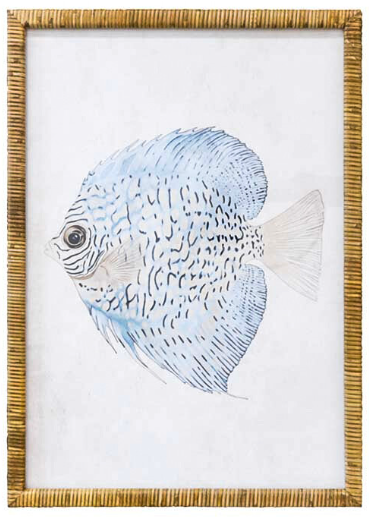 Framed Fish Print: 2 Styles Available