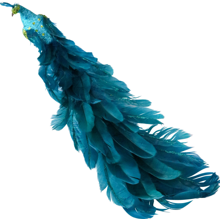 Clip On Peacock: 2 Colours Available