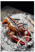 Load image into Gallery viewer, Byron and Yorke Microfibre Tea Towels- Assorted Designs Available
