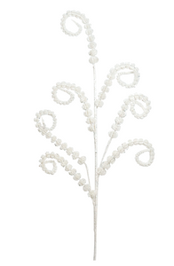 Curled Frond Spray