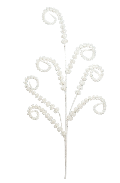 Curled Frond Spray