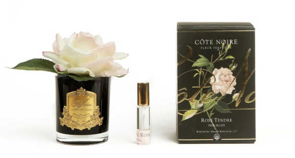 Single French Rose Pink Blush Black Vessel