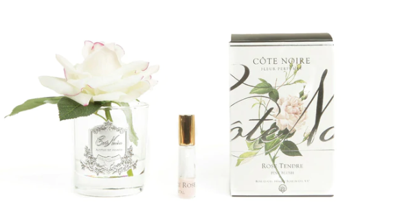 Single French Rose Pink Blush with Clear Vessel
