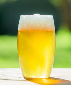 Rowdy Crowd Beer Schooner Pack