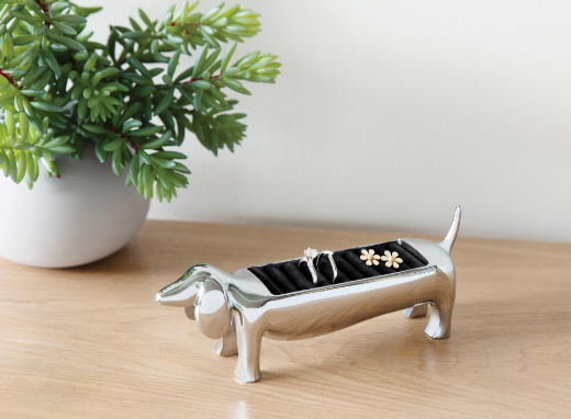 Ring Holder