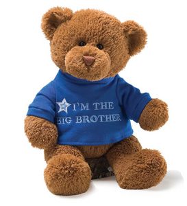 Big Brother Bear